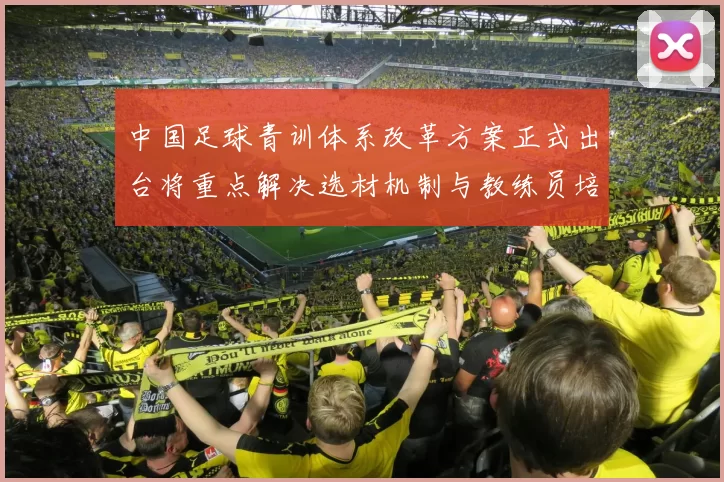 中国足球青训体系改革方案正式出台将重点解决选材机制与教练员培养问题